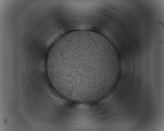 X0000103220303200809111514