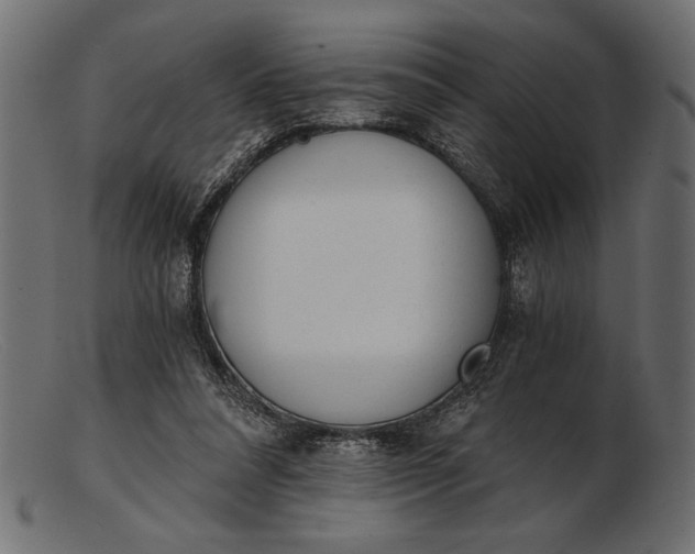 X0000103220304200809111514