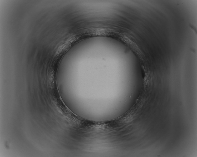 X0000103220306200809111514