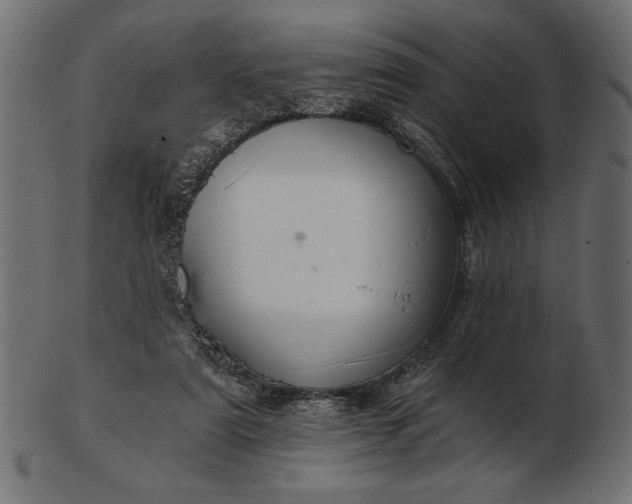 X0000103220307200809111514