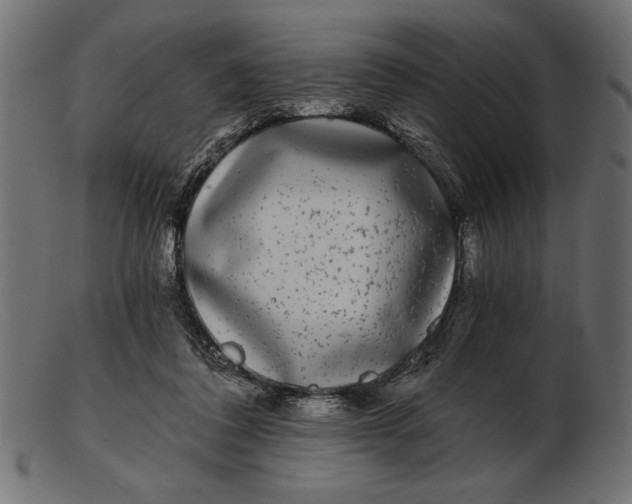 X0000103220308200809111514