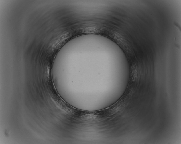 X0000103220310200809111514