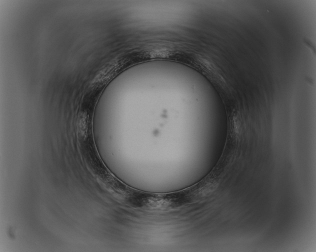 X0000103220311200809111514