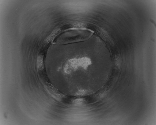 X0000103220312200809111514