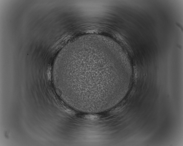 X0000103220313200809111513