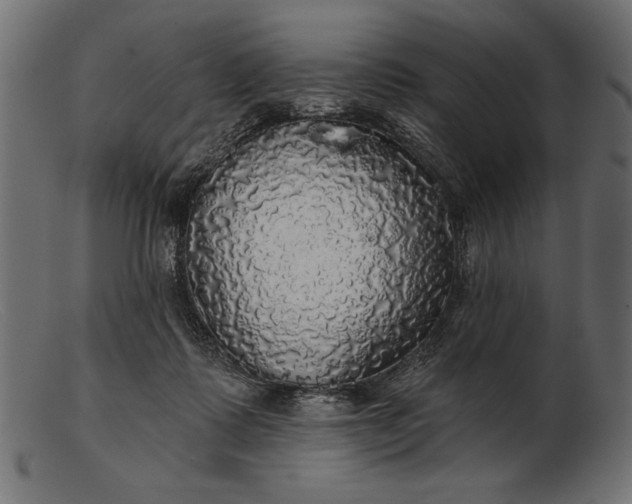 X0000103220315200809111513