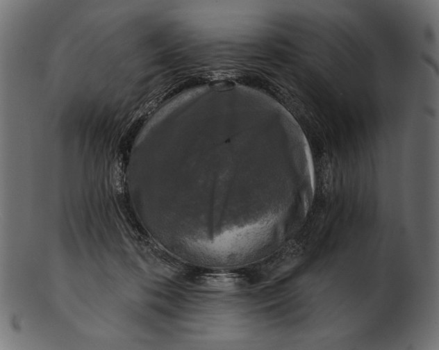 X0000103220316200809111513