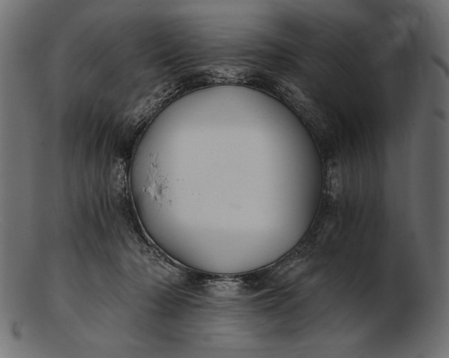 X0000103220318200809111513