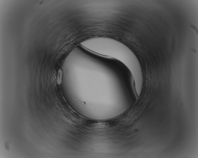 X0000103220320200809111513