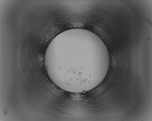 X0000103220321200809111513