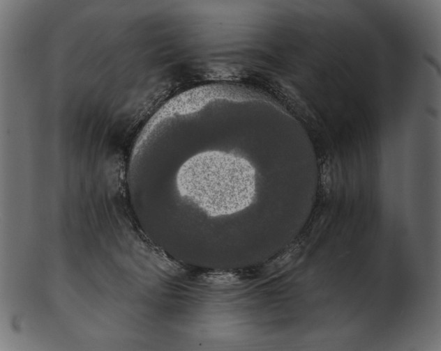 X0000103220322200809111513