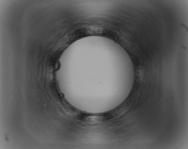 X0000103220323200809111513