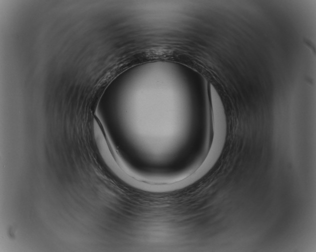 X0000103220324200809111513