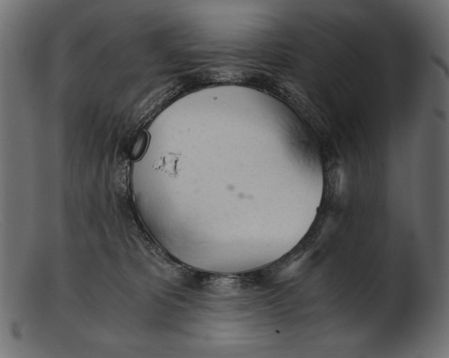 X0000103220325200809111513