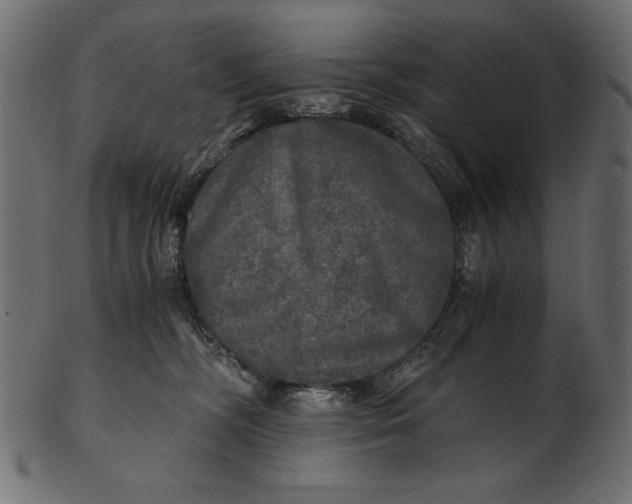 X0000103220326200809111513