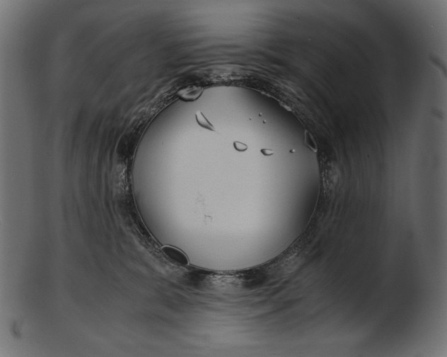 X0000103220327200809111513