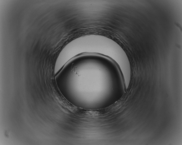 X0000103220328200809111513