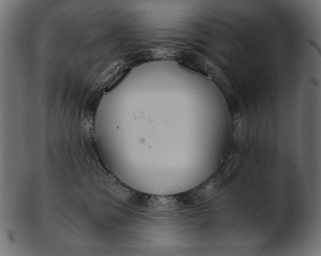 X0000103220329200809111513