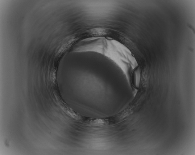 X0000103220330200809111513