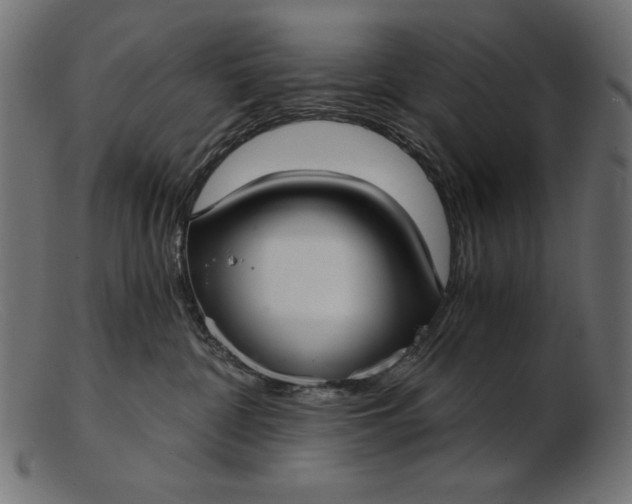 X0000103220332200809111513