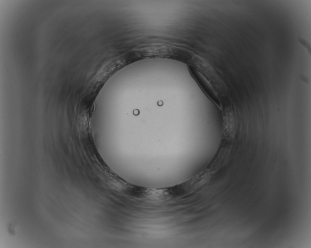 X0000103220333200809111513