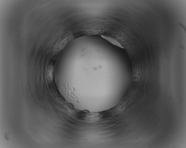 X0000103220334200809111513