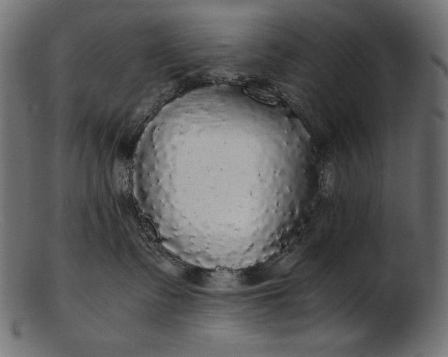 X0000103220335200809111513