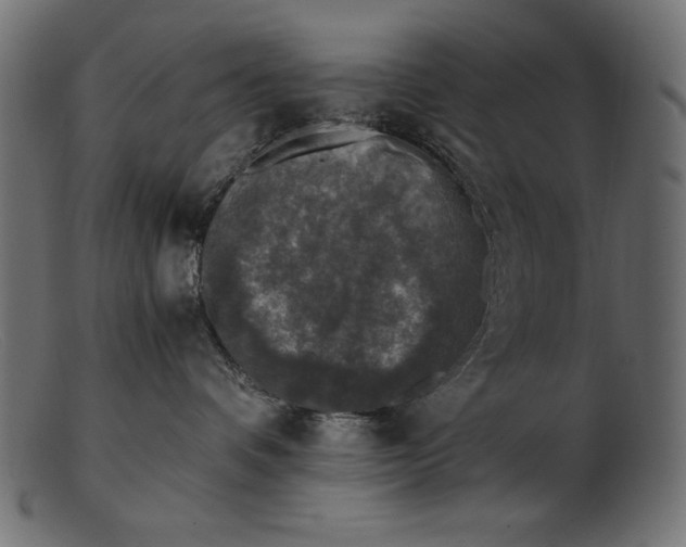 X0000103220336200809111513