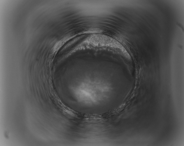 X0000103220337200809111513