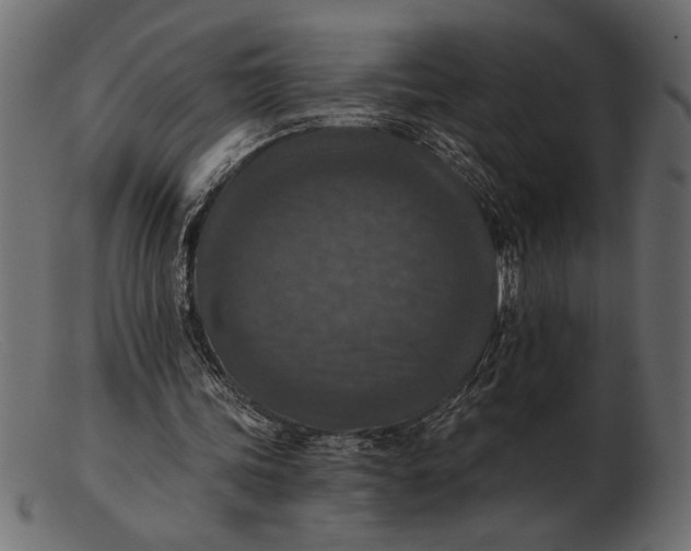 X0000103220339200809111513