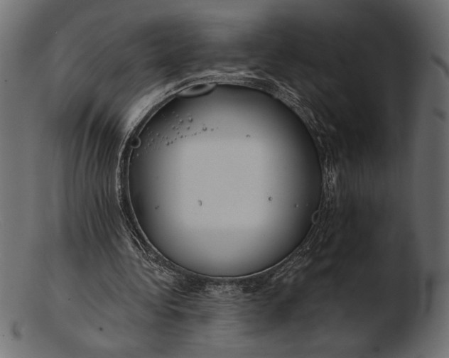 X0000103220340200809111513