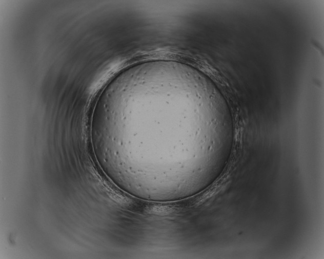 X0000103220341200809111513