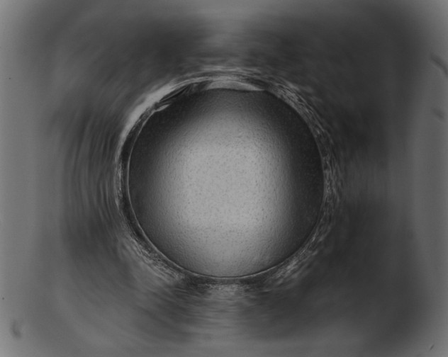 X0000103220342200809111513