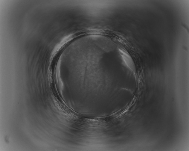 X0000103220343200809111513