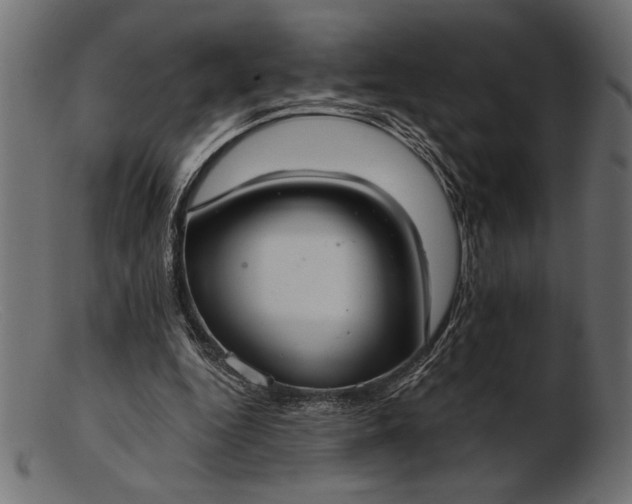 X0000103220344200809111513