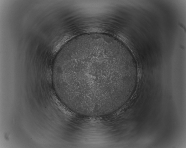 X0000103220345200809111513