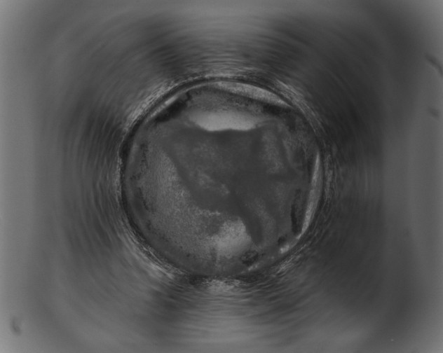 X0000103220346200809111513