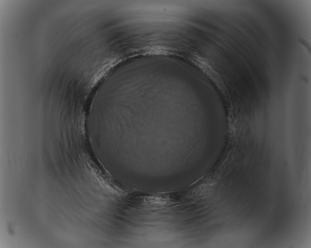 X0000103220347200809111513