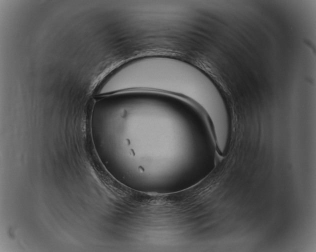 X0000103220348200809111513