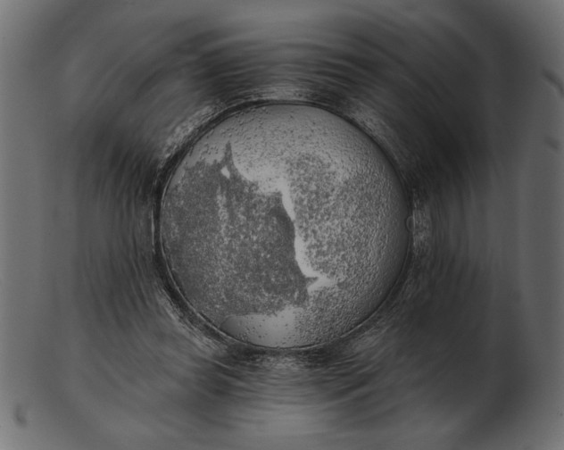 X0000103220349200809111513