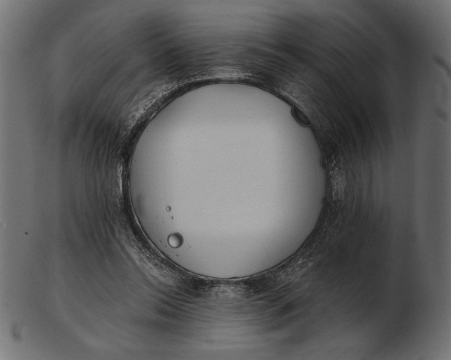 X0000103220350200809111513