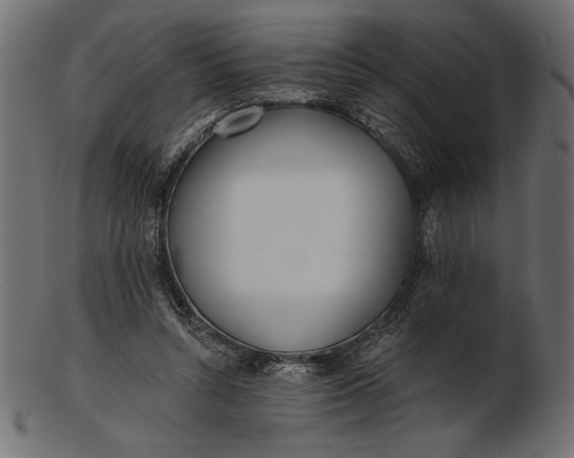 X0000103220352200809111513