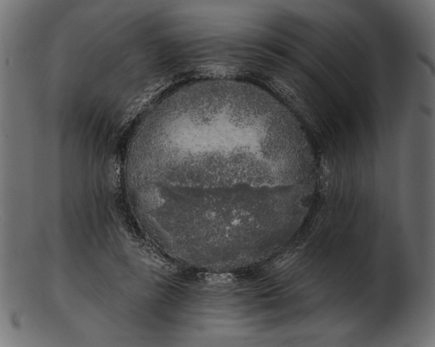 X0000103220355200809111513