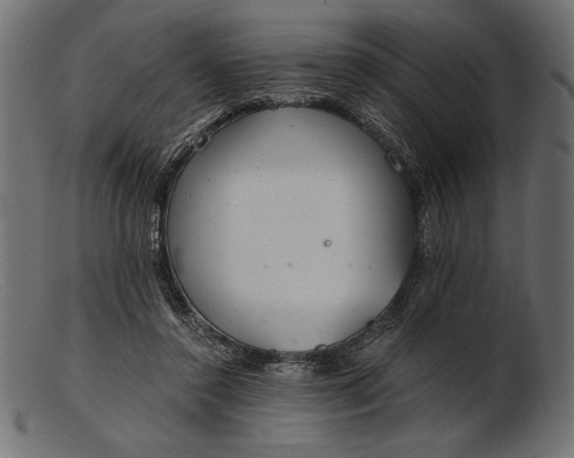 X0000103220356200809111513