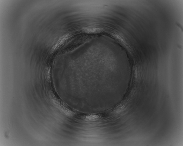 X0000103220357200809111513