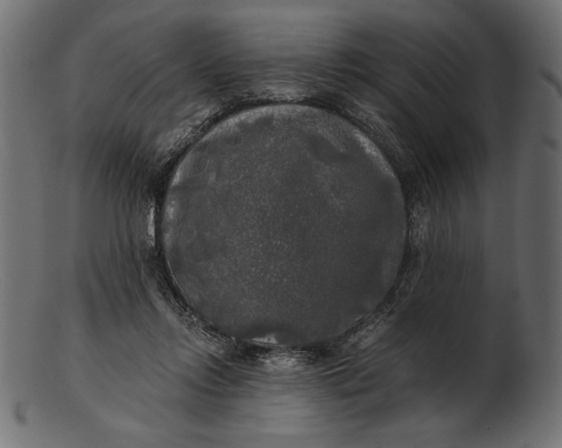 X0000103220358200809111513