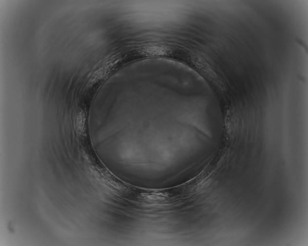 X0000103220359200809111513