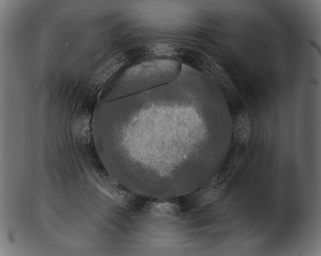 X0000103220360200809111513