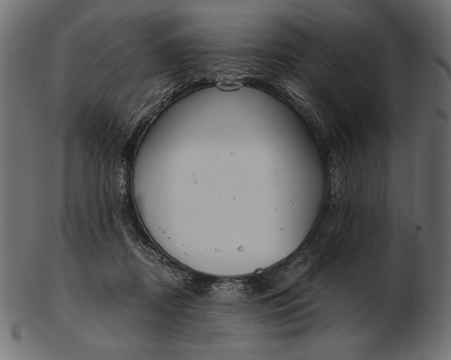 X0000103220362200809111513