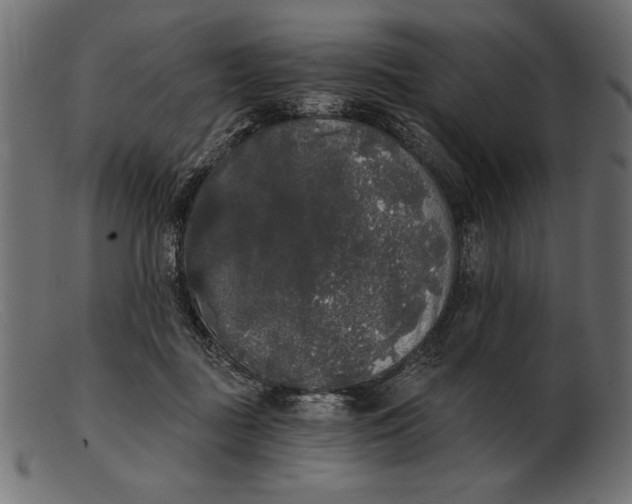 X0000103220363200809111513